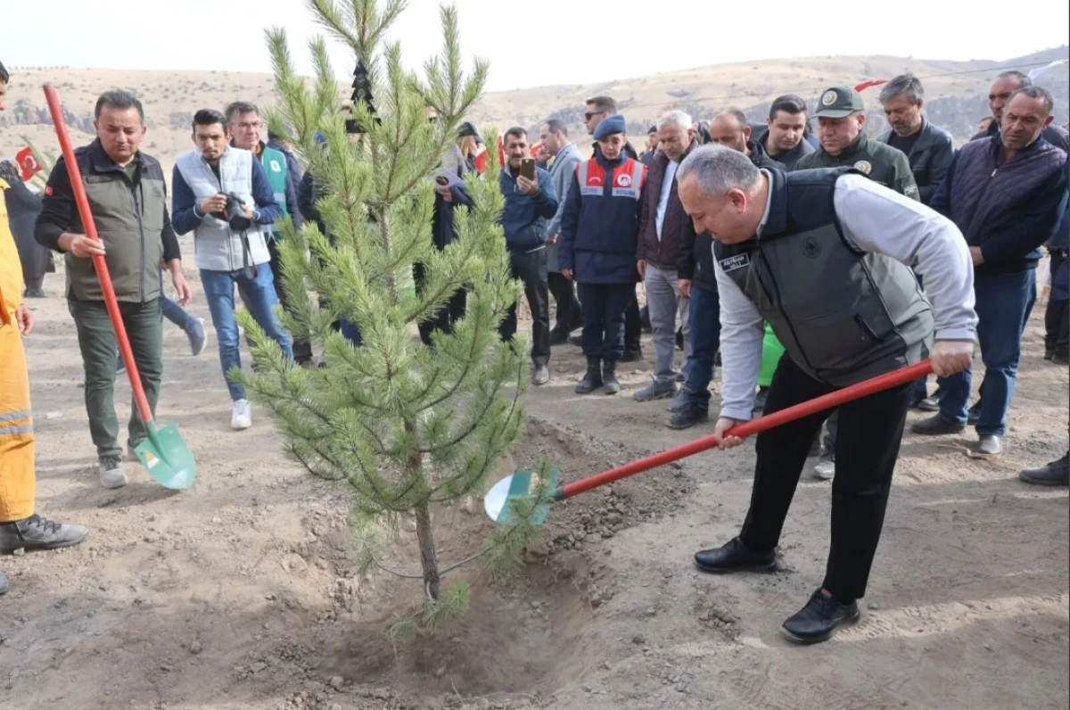11 Kasım&rsquo;da &lsquo;Sevdamız Yeşil Vatan&rsquo; Nevşehir&rsquo;de Hayata Ge&ccedil;ti