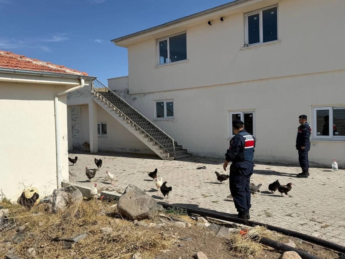 Çalınan 32 Hayvan Sahibine Teslim Edildi