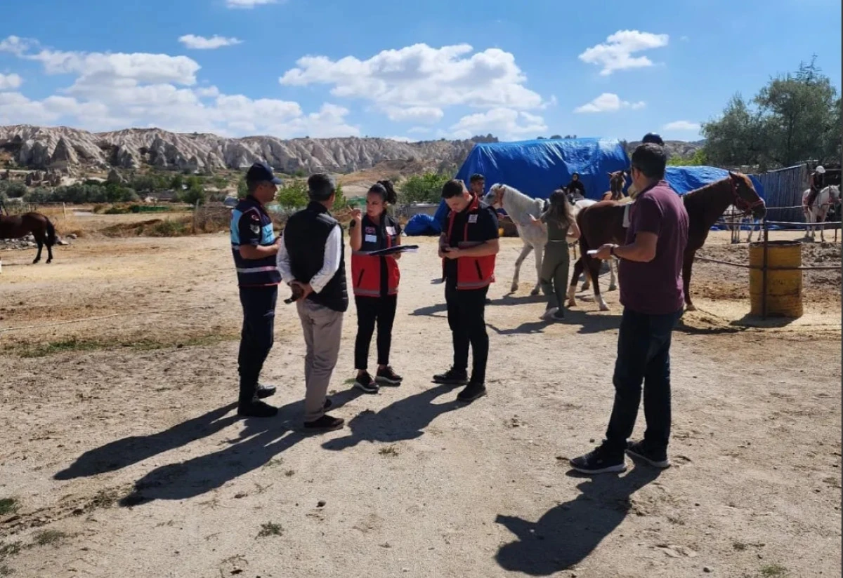 Kapadokya Alan Başkanlığı Kaçak At Çiftliklerini kontrol Etti