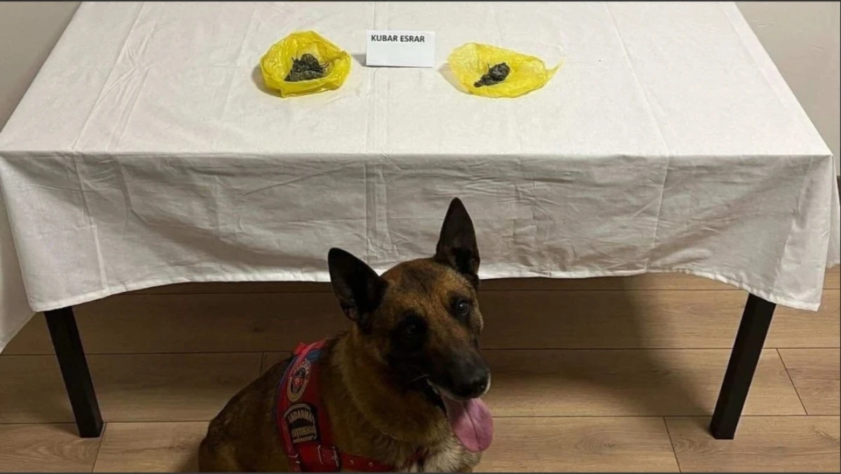 Kozaklı&rsquo;da Jandarma Denetimi: Ara&ccedil;ta Esrar Ele Ge&ccedil;irildi