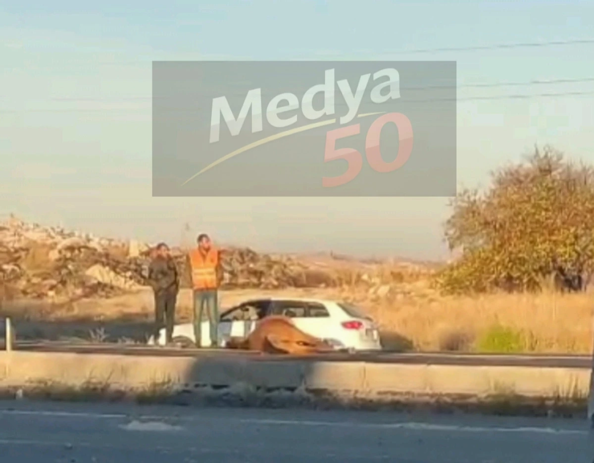 Ortahisar’da Başıboş Atlara Otomobil Çarptı: 2 At Telef Oldu